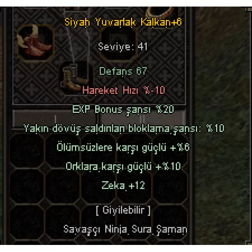  +6  SYK KALKAN  10 BLOCK 12 ZEKA 20 EXP 5 EFSUN